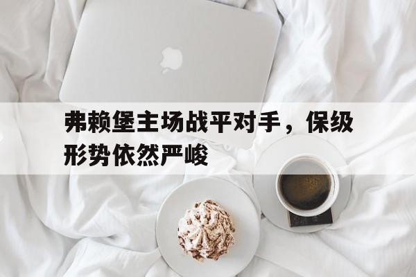 弗赖堡球队 弗赖堡球队